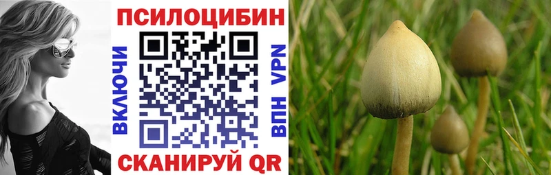 Псилоцибиновые грибы Psilocybe  Долинск 